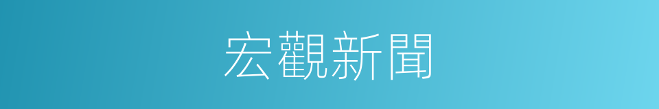 宏觀新聞的同義詞