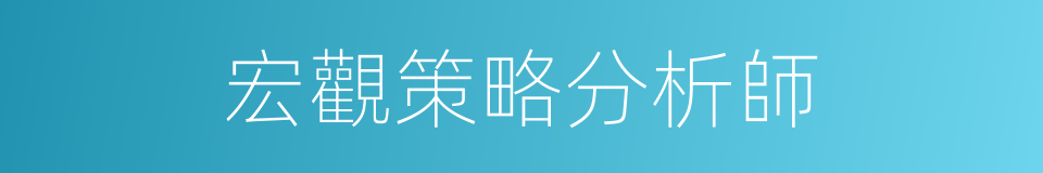 宏觀策略分析師的同義詞