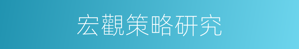 宏觀策略研究的同義詞