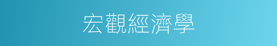 宏觀經濟學的意思