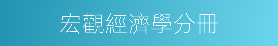 宏觀經濟學分冊的同義詞