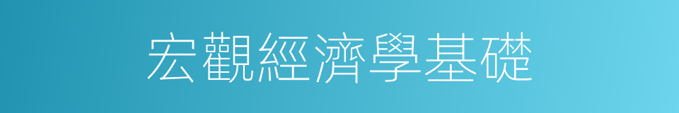 宏觀經濟學基礎的同義詞