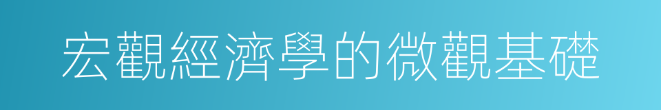 宏觀經濟學的微觀基礎的同義詞