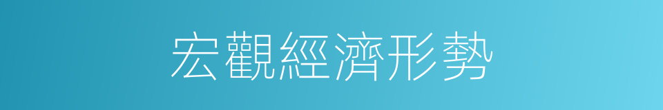 宏觀經濟形勢的同義詞