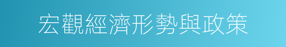 宏觀經濟形勢與政策的同義詞