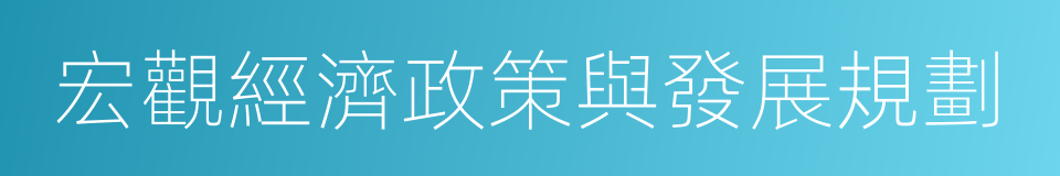 宏觀經濟政策與發展規劃的同義詞