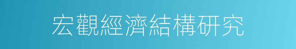 宏觀經濟結構研究的同義詞