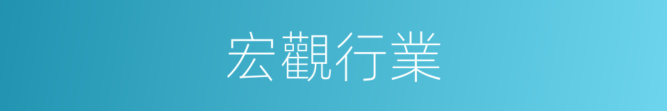 宏觀行業的同義詞