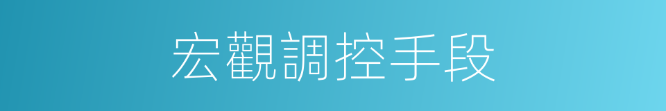 宏觀調控手段的同義詞