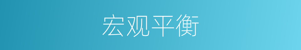 宏观平衡的同义词