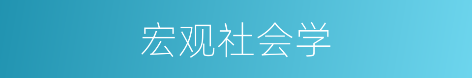 宏观社会学的同义词