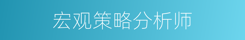 宏观策略分析师的同义词