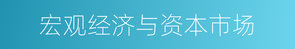 宏观经济与资本市场的同义词