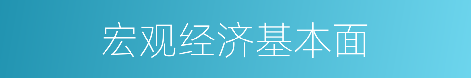 宏观经济基本面的同义词