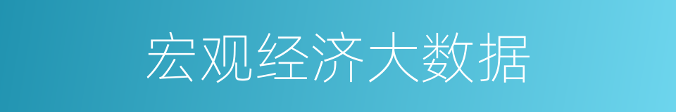 宏观经济大数据的同义词