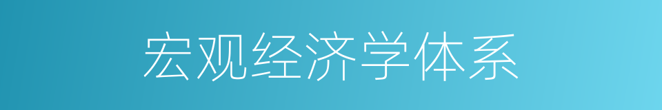 宏观经济学体系的同义词