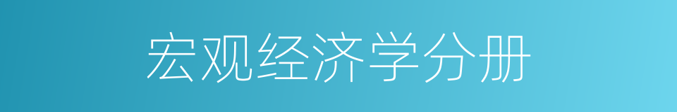 宏观经济学分册的同义词