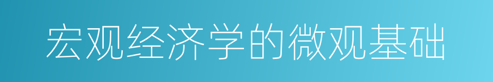 宏观经济学的微观基础的同义词