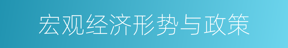 宏观经济形势与政策的同义词