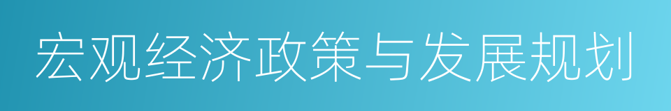 宏观经济政策与发展规划的同义词