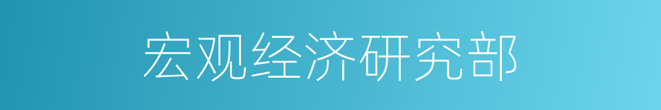 宏观经济研究部的同义词