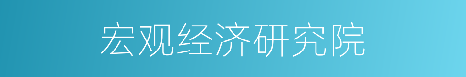 宏观经济研究院的同义词