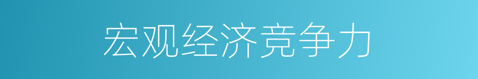 宏观经济竞争力的同义词