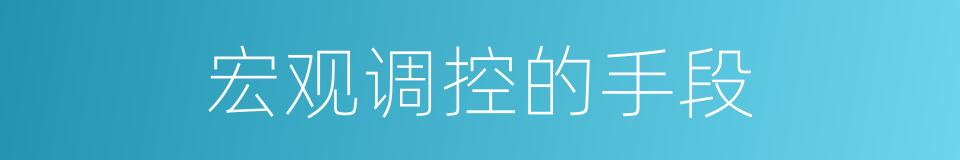 宏观调控的手段的同义词