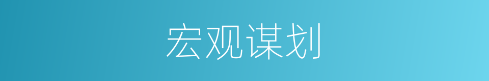 宏观谋划的同义词