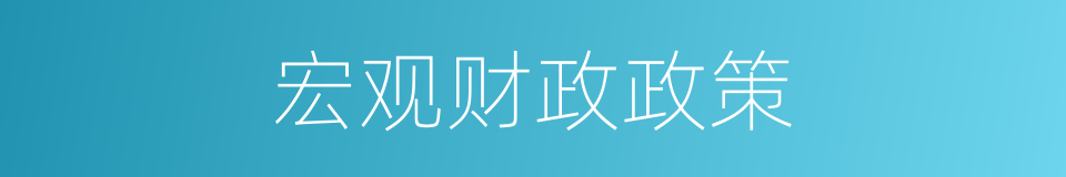 宏观财政政策的同义词
