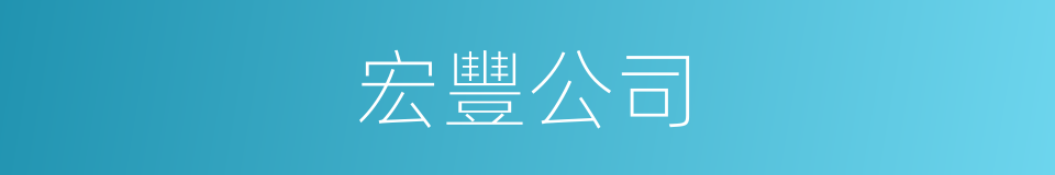 宏豐公司的同義詞