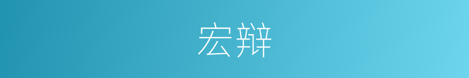 宏辩的意思