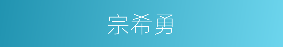 宗希勇的同义词