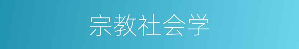 宗教社会学的意思