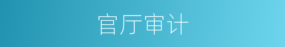 官厅审计的同义词