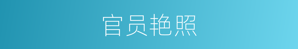 官员艳照的同义词
