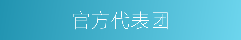 官方代表团的同义词