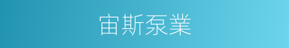 宙斯泵業的同義詞