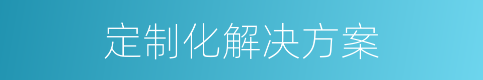 定制化解决方案的同义词