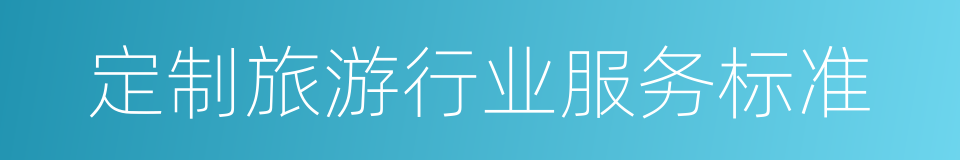 定制旅游行业服务标准的同义词