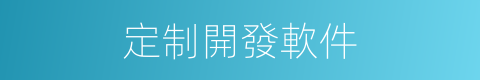 定制開發軟件的同義詞
