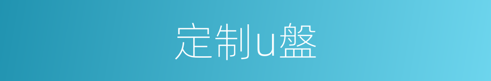 定制u盤的同義詞