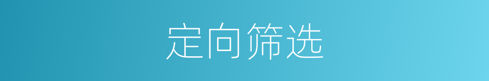 定向筛选的同义词