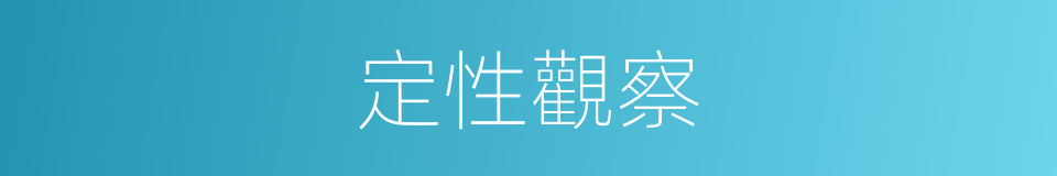 定性觀察的意思