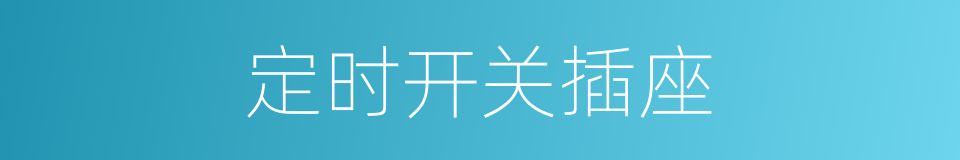 定时开关插座的同义词