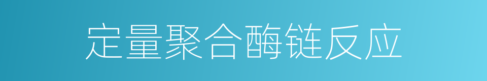 定量聚合酶链反应的同义词
