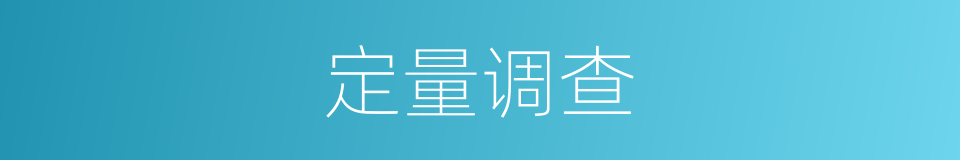 定量调查的同义词