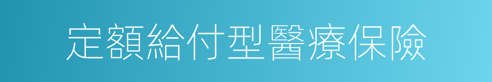 定額給付型醫療保險的同義詞