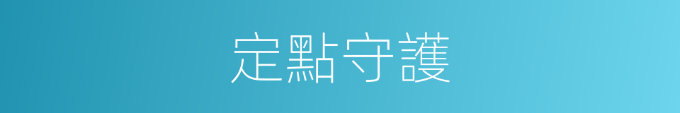 定點守護的同義詞