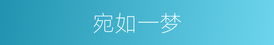宛如一梦的同义词